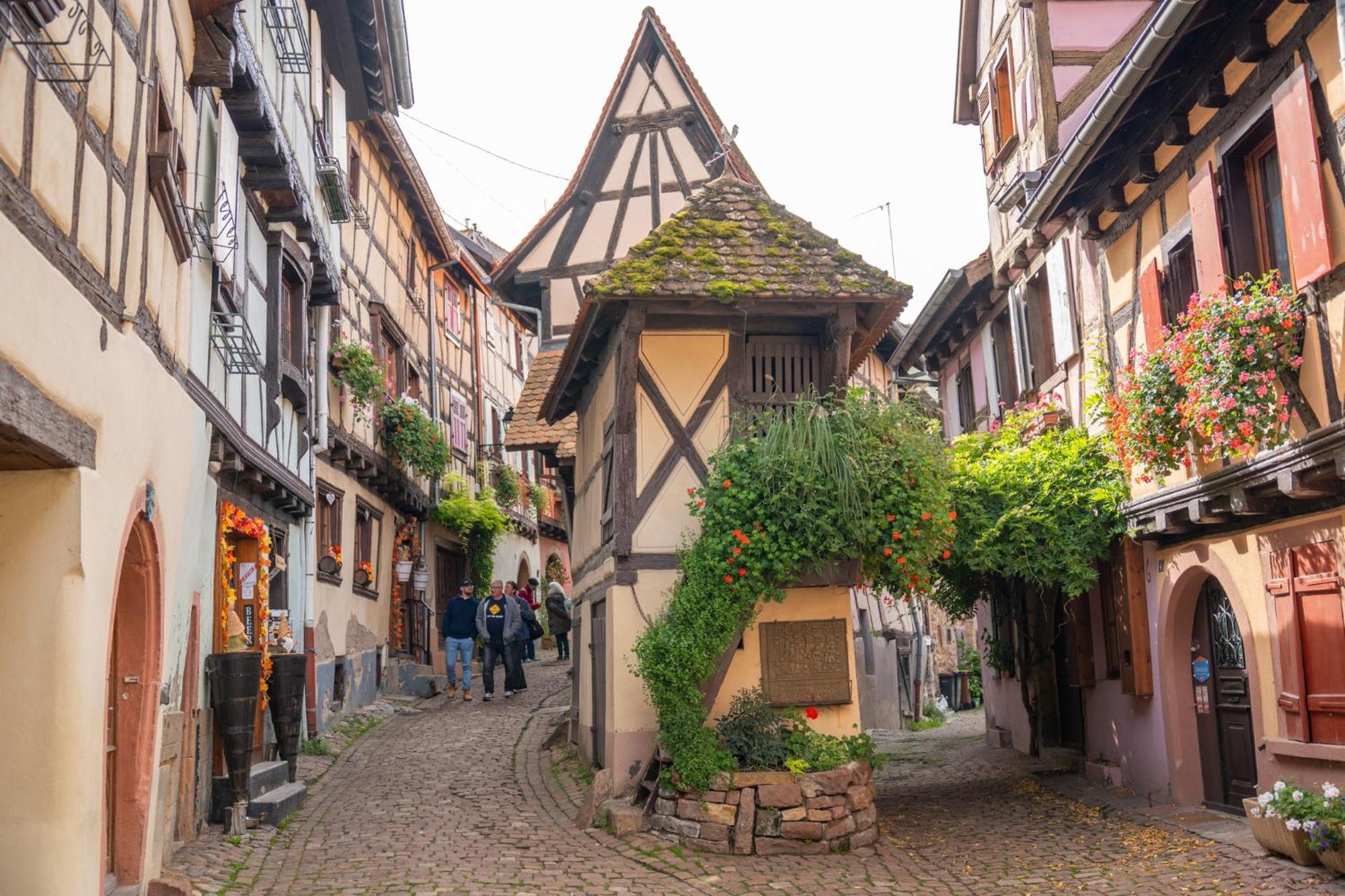 Gite La Grange Eguisheim Extérieur photo
